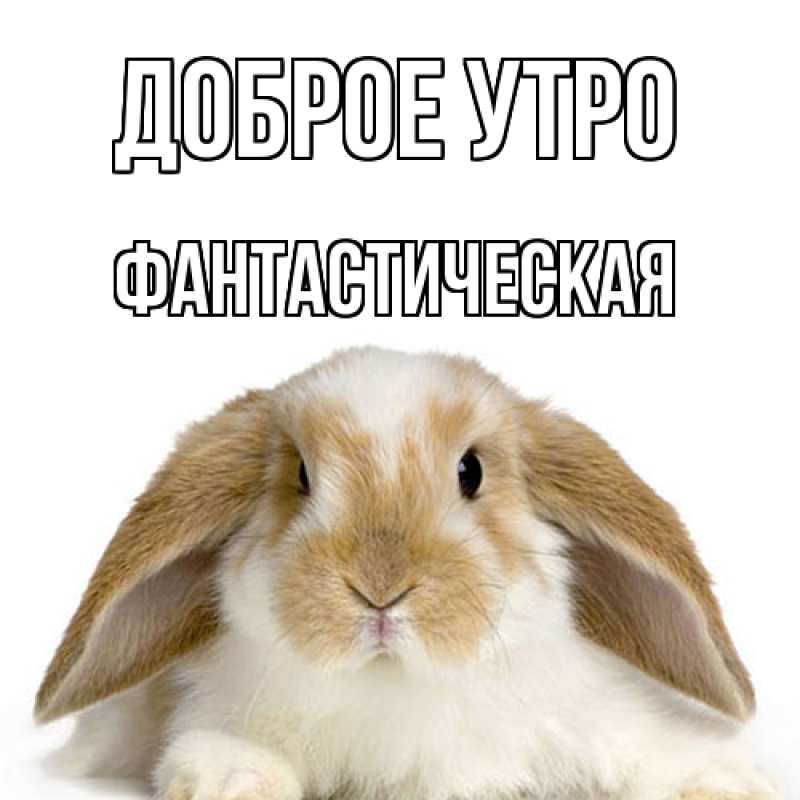 Картинка Доброе утро, Фантастическая
