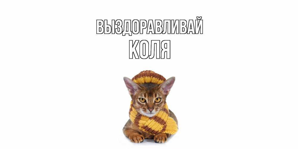 Открытка на каждый день с именем, Коля Выздоравливай родные не болейте Прикольная открытка с пожеланием онлайн скачать бесплатно 
