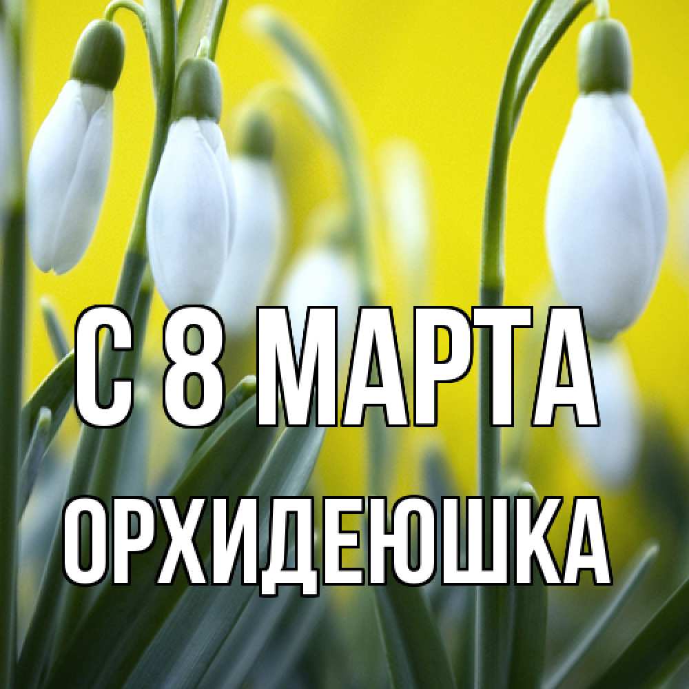 Открытка на каждый день с именем, Орхидеюшка C 8 МАРТА весенние цветы Прикольная открытка с пожеланием онлайн скачать бесплатно 
