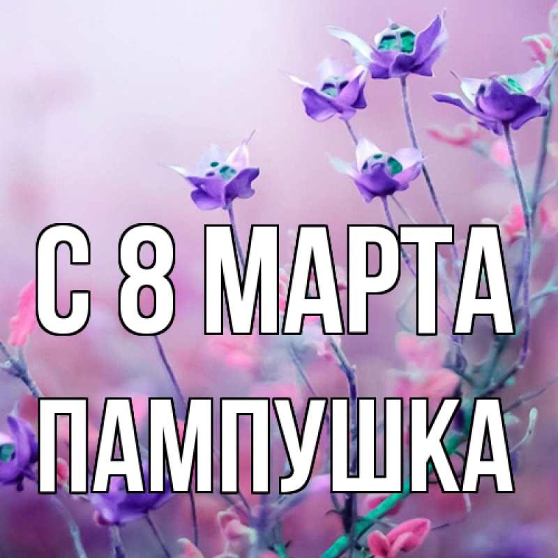 Картинка C 8 МАРТА, Пампушка