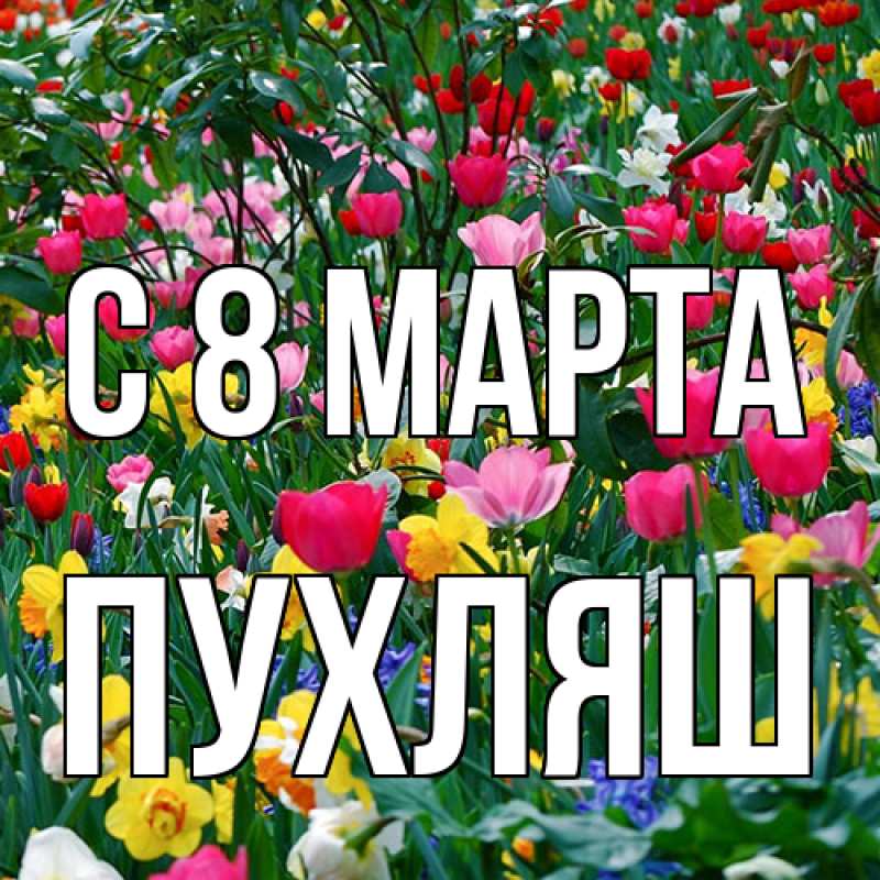 Картинка C 8 МАРТА, пухляш
