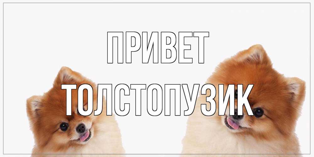 Открытка на каждый день с именем, Толстопузик Привет привет Прикольная открытка с пожеланием онлайн скачать бесплатно 