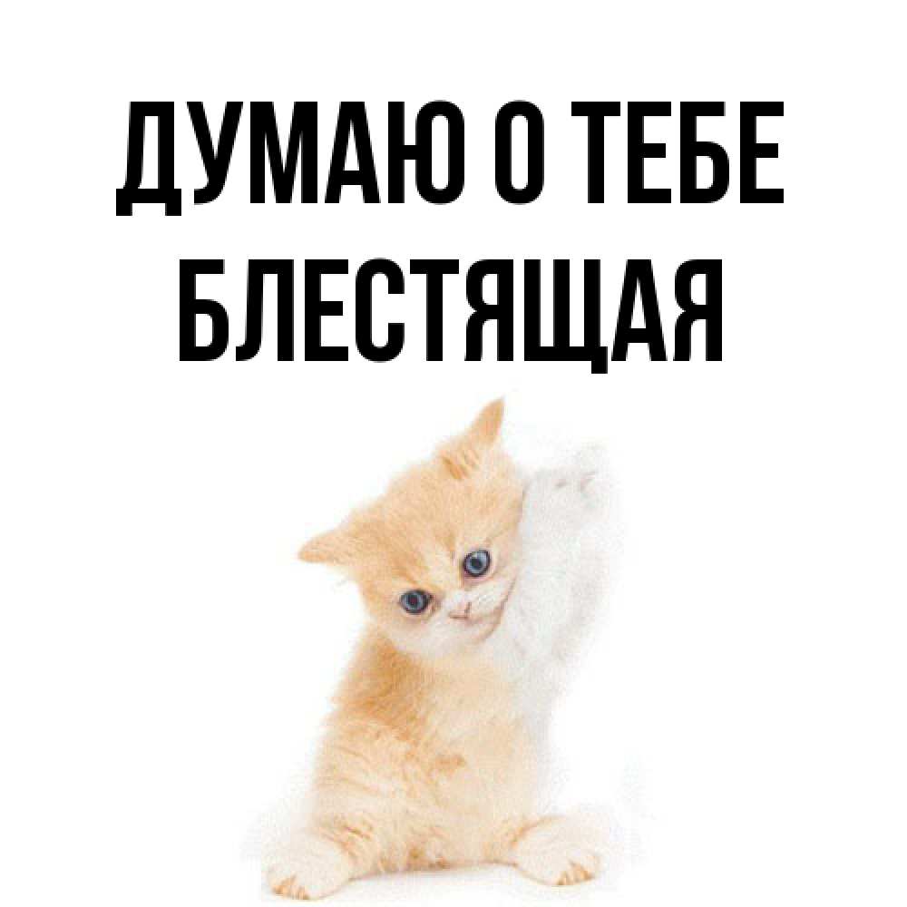 Открытка на каждый день с именем, блестящая Думаю о тебе зверушки и милота Прикольная открытка с пожеланием онлайн скачать бесплатно 