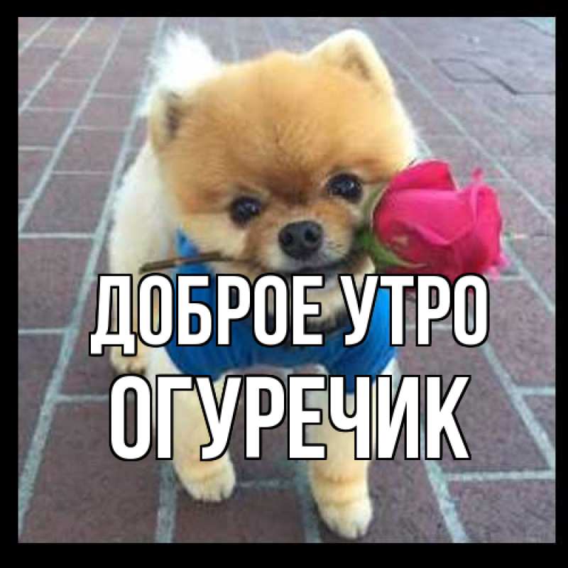 Картинка Доброе утро, Огуречик