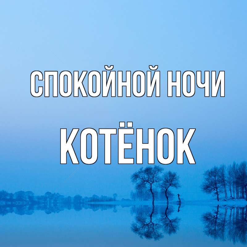 Картинка Спокойной ночи, Котёнок