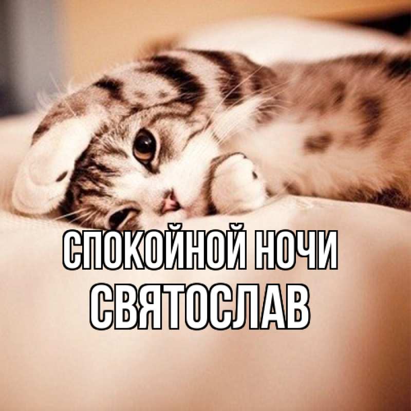 Картинка Спокойной ночи, Святослав