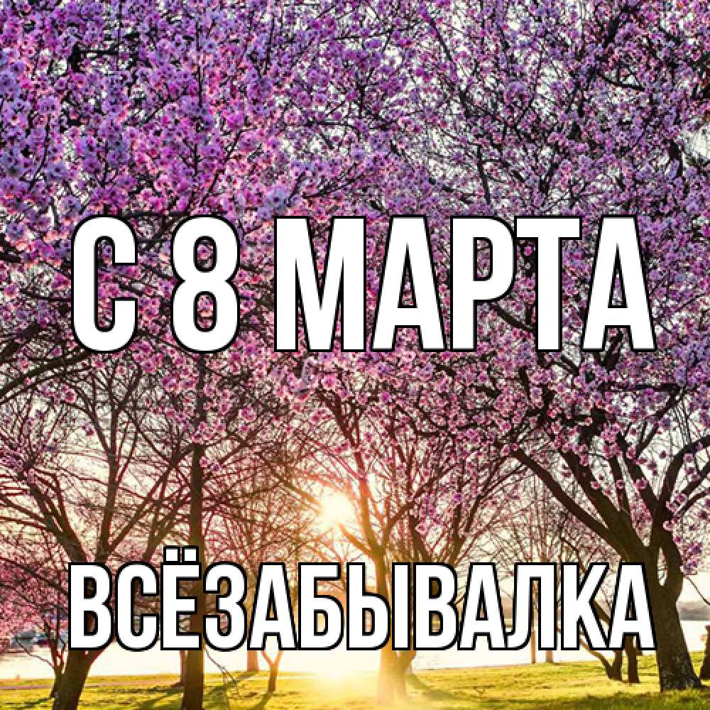 Открытка на каждый день с именем, Всёзабывалка C 8 МАРТА международный женский день Прикольная открытка с пожеланием онлайн скачать бесплатно 