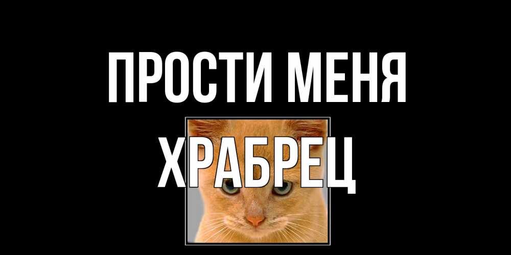 Открытка на каждый день с именем, Храбрец Прости меня рыжий грустный кот просит прощения Прикольная открытка с пожеланием онлайн скачать бесплатно 