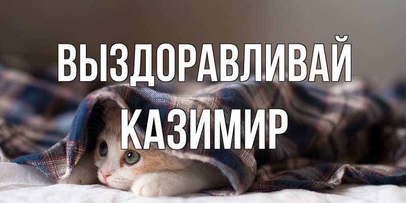 Картинка Выздоравливай, Казимир