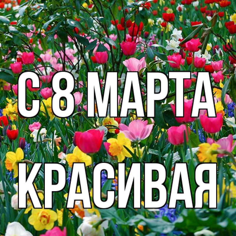 Картинка C 8 МАРТА, Красивая