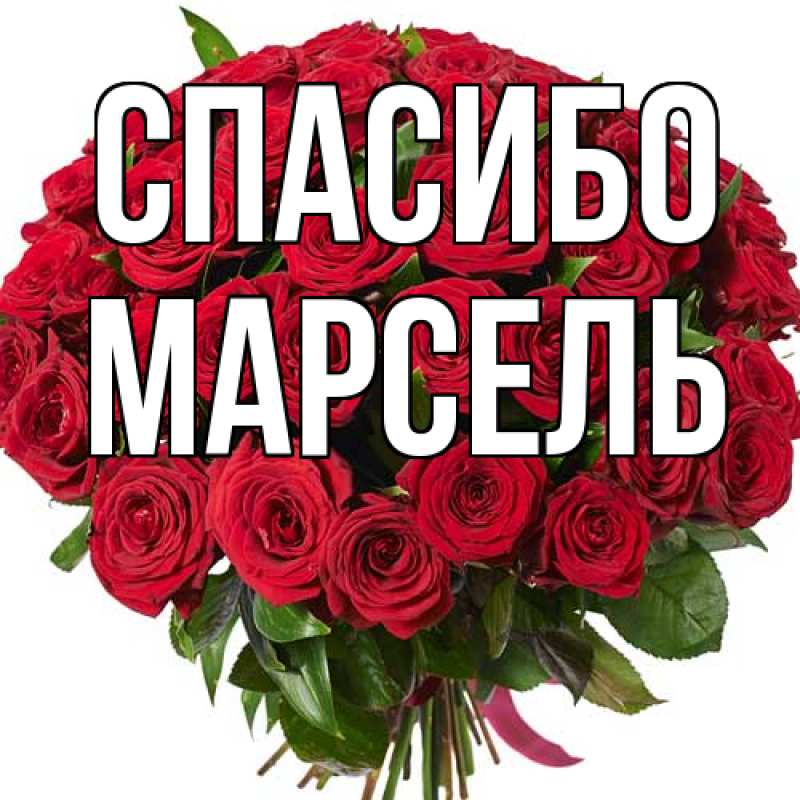 Картинка Спасибо, Марсель