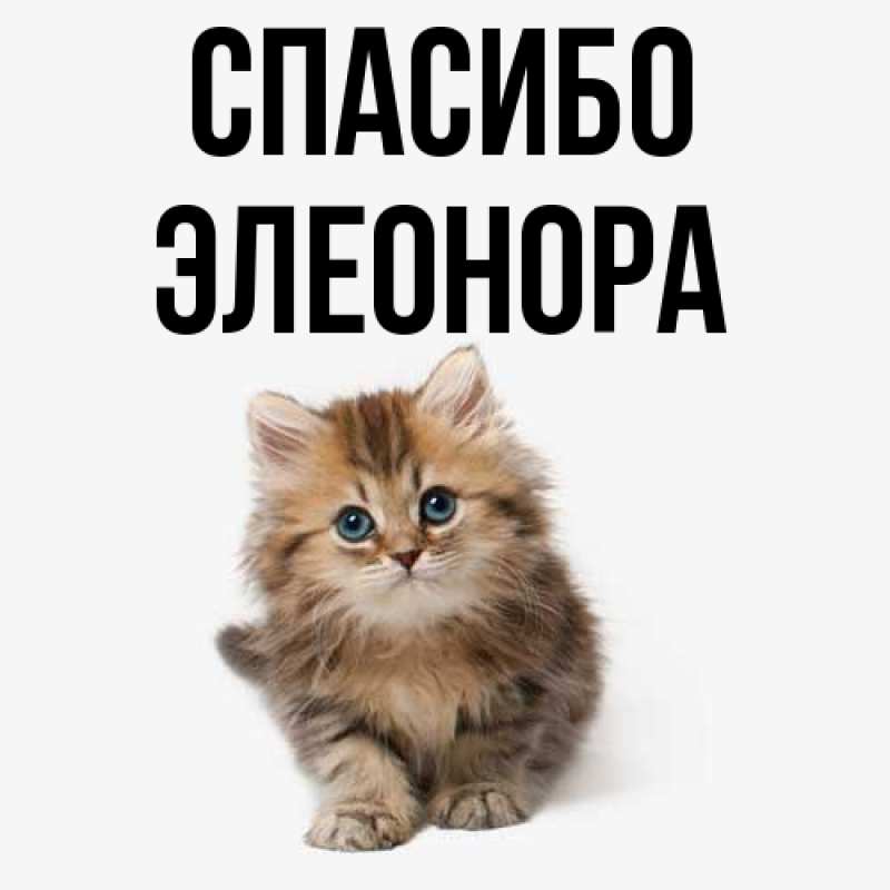 Картинка Спасибо, Элеонора