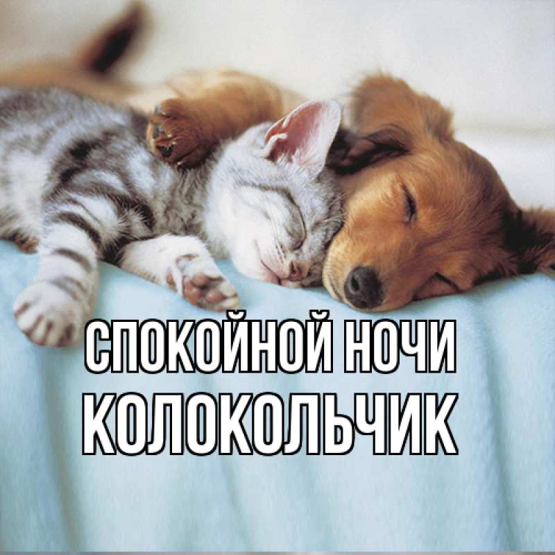 Картинка Спокойной ночи, Колокольчик