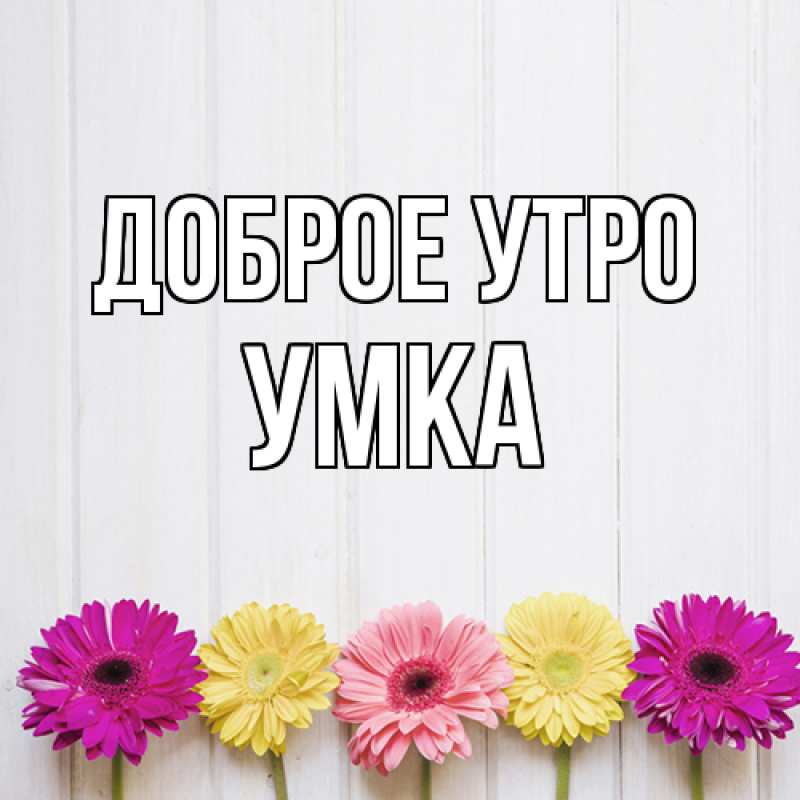 Картинка Доброе утро, умка