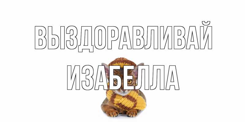 Картинка Выздоравливай, Изабелла
