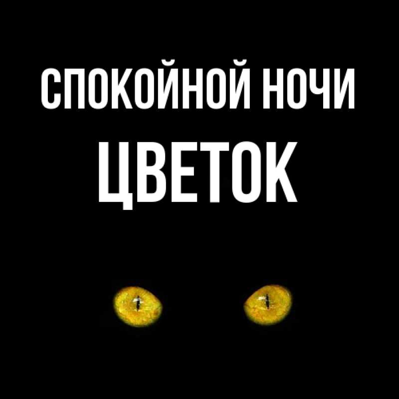 Картинка Спокойной ночи, Цветок