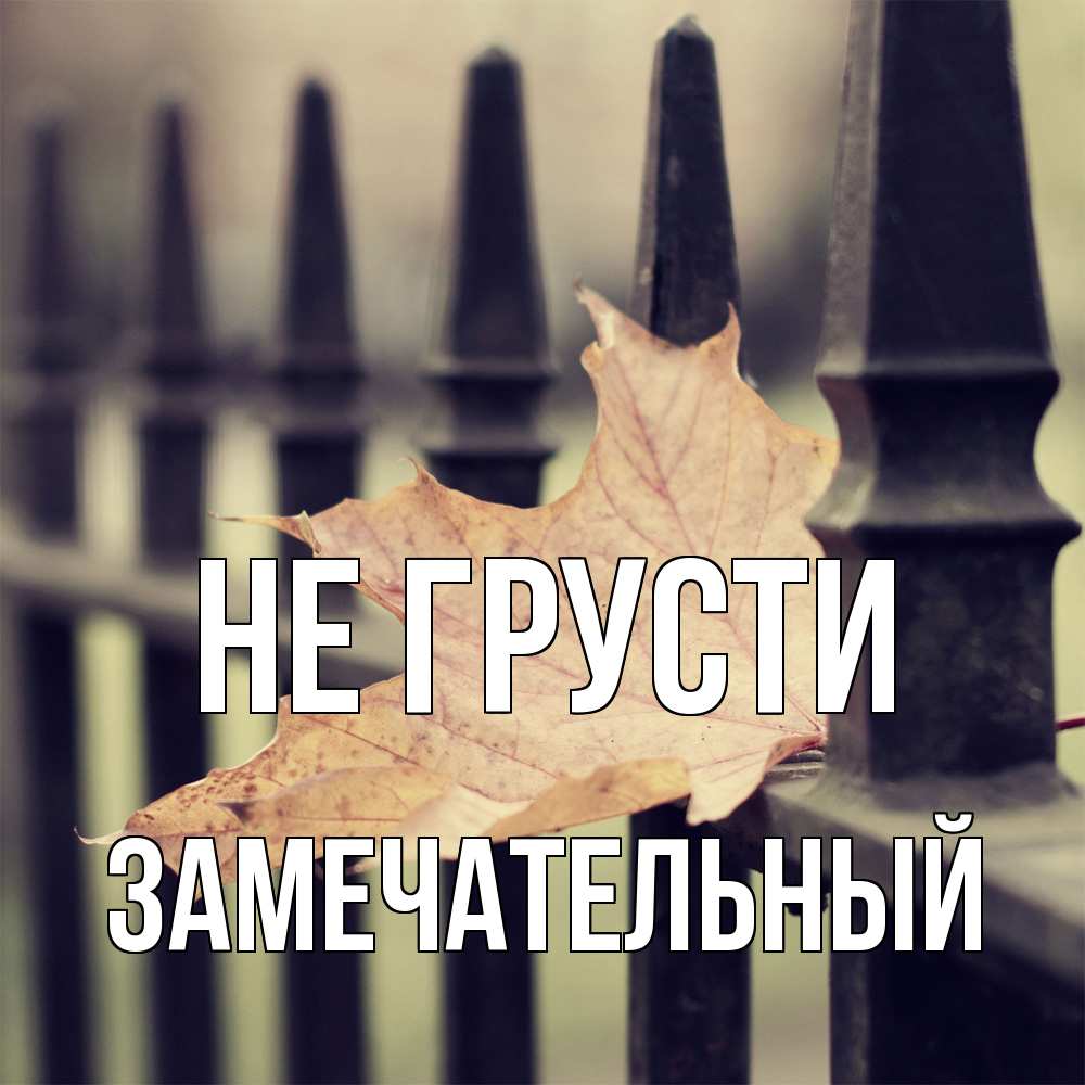 Открытка на каждый день с именем, Замечательный Не грусти лист клена Прикольная открытка с пожеланием онлайн скачать бесплатно 