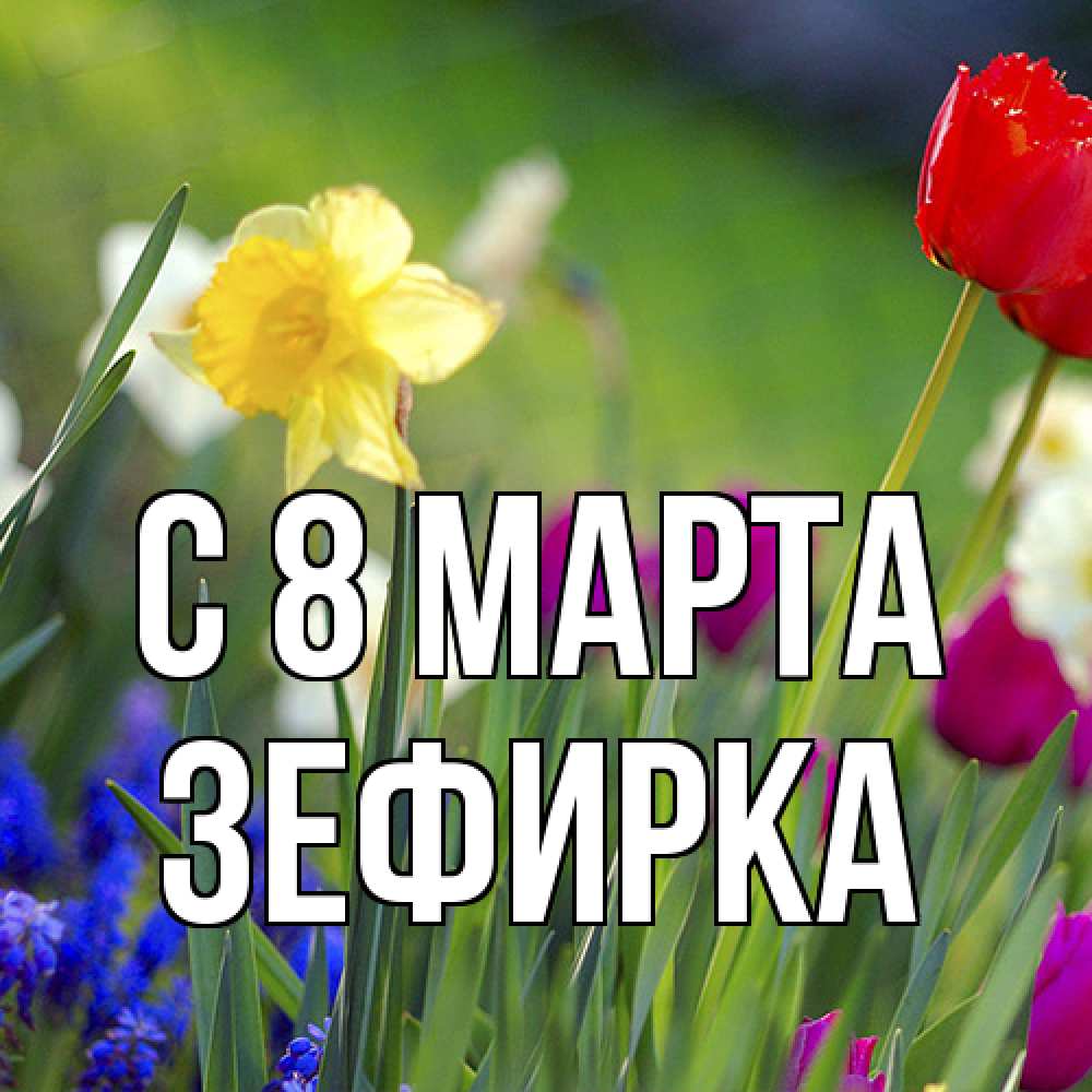 Открытка на каждый день с именем, зефирка C 8 МАРТА международный женский день 3 Прикольная открытка с пожеланием онлайн скачать бесплатно 
