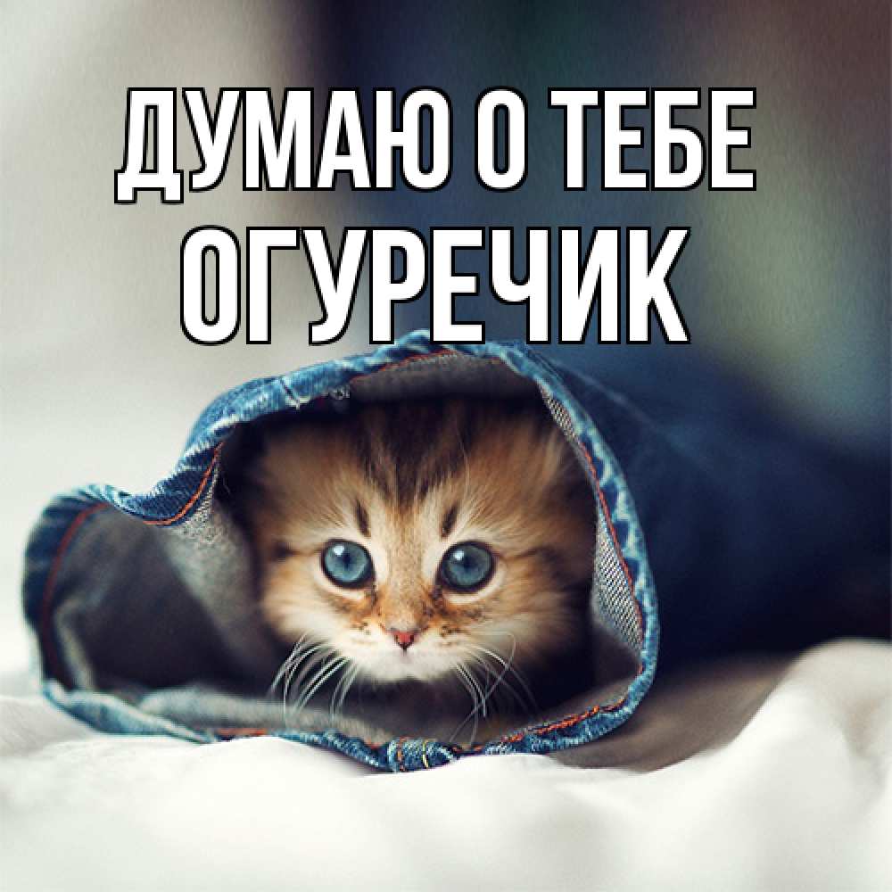 Открытка на каждый день с именем, Огуречик Думаю о тебе мне без тебя плохо Прикольная открытка с пожеланием онлайн скачать бесплатно 