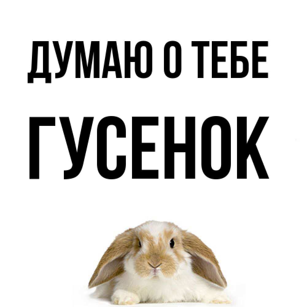 Открытка на каждый день с именем, гусенок Думаю о тебе подписать своими руками онлайн Прикольная открытка с пожеланием онлайн скачать бесплатно 