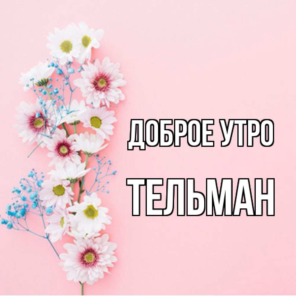 Открытка на каждый день с именем, Тельман Доброе утро цветы с подписью Прикольная открытка с пожеланием онлайн скачать бесплатно 