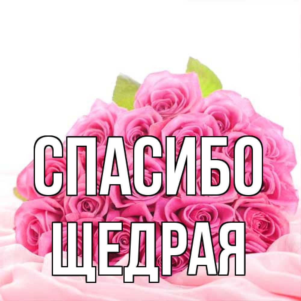 Открытка на каждый день с именем, Щедрая Спасибо розовые розы с подписью Прикольная открытка с пожеланием онлайн скачать бесплатно 