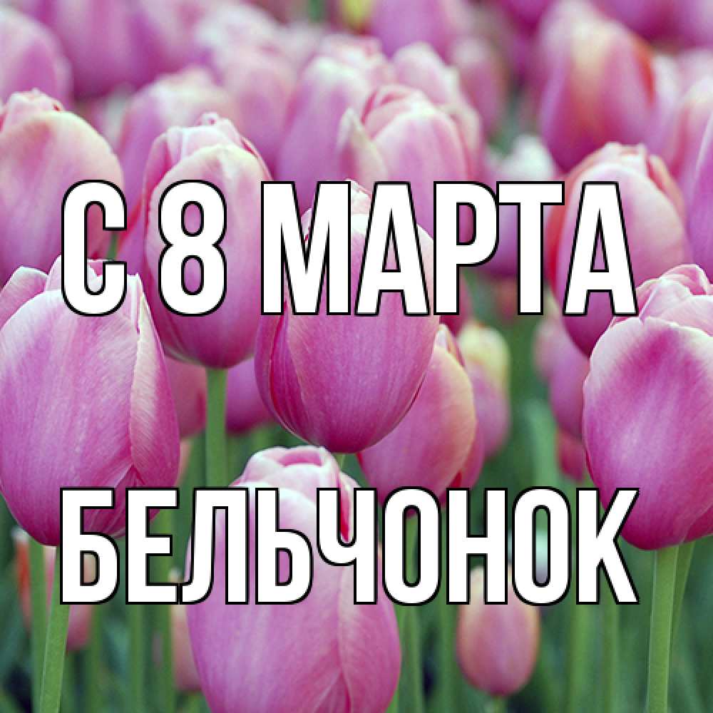 Открытка на каждый день с именем, бельчонок C 8 МАРТА на международный женский день 3 Прикольная открытка с пожеланием онлайн скачать бесплатно 