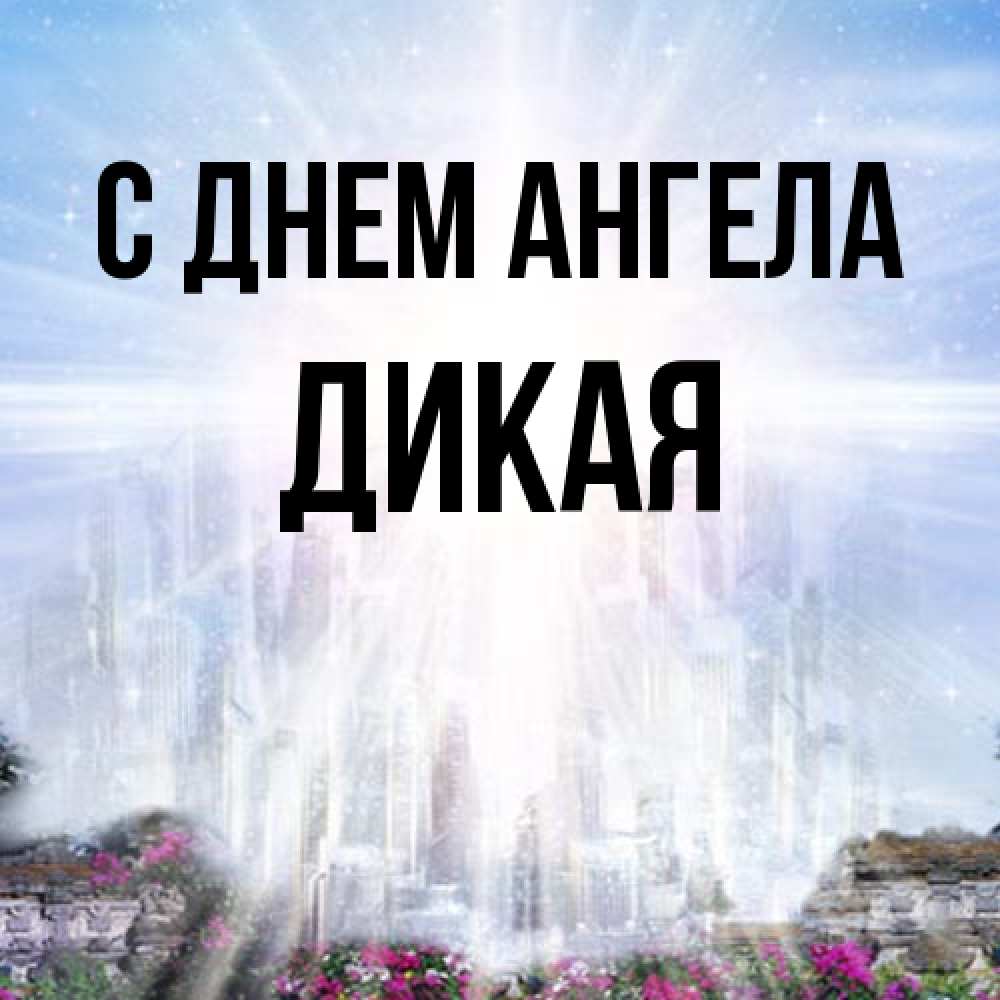 Открытка на каждый день с именем, дикая С днем ангела небесный свет Прикольная открытка с пожеланием онлайн скачать бесплатно 