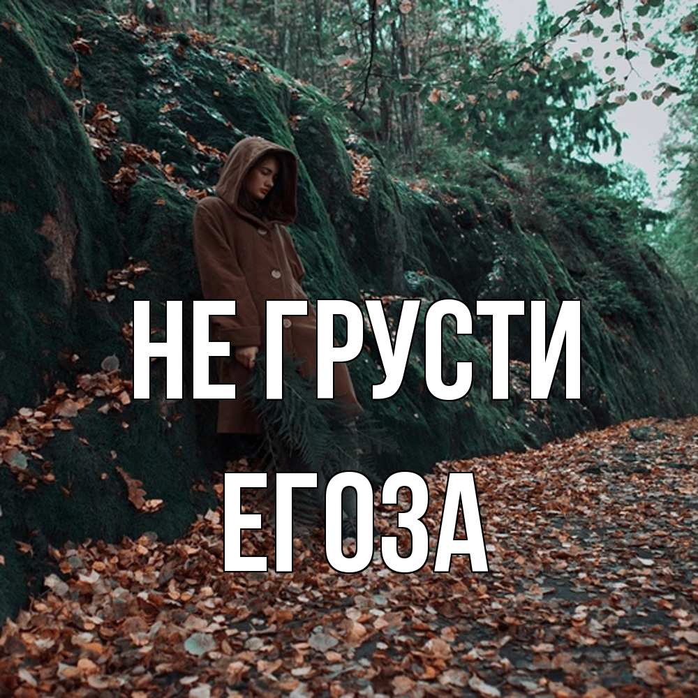 Открытка на каждый день с именем, егоза Не грусти осенний лес Прикольная открытка с пожеланием онлайн скачать бесплатно 