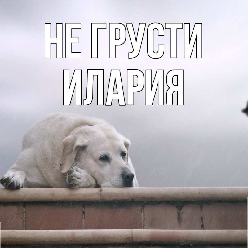 Картинка Не грусти, Илария