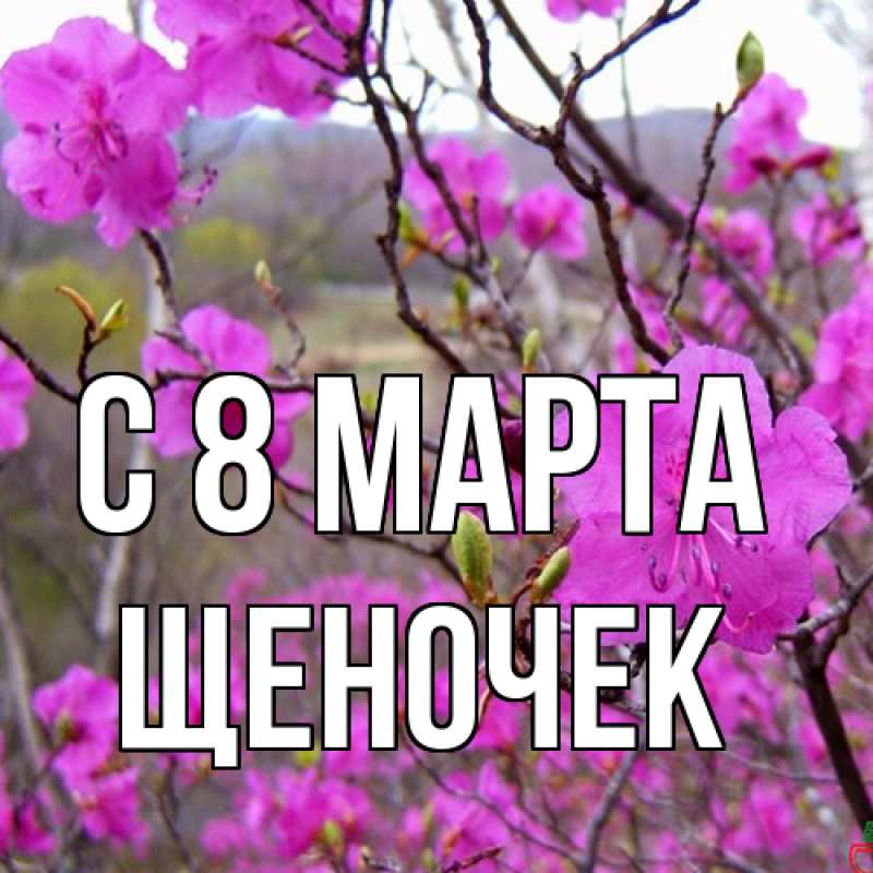 Картинка C 8 МАРТА, Щеночек