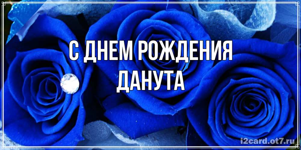 Открытка на каждый день с именем, Данута С днем рождения синие розы в росе Прикольная открытка с пожеланием онлайн скачать бесплатно 