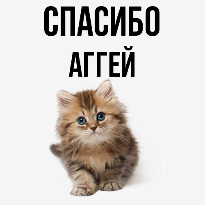 Картинка Спасибо, Аггей