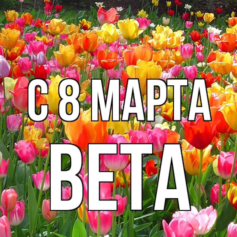 Картинка C 8 МАРТА, Вета