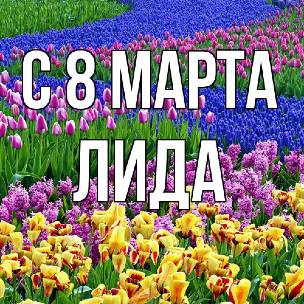 Открытка на каждый день с именем, Лида C 8 МАРТА цветы Прикольная открытка с пожеланием онлайн скачать бесплатно 