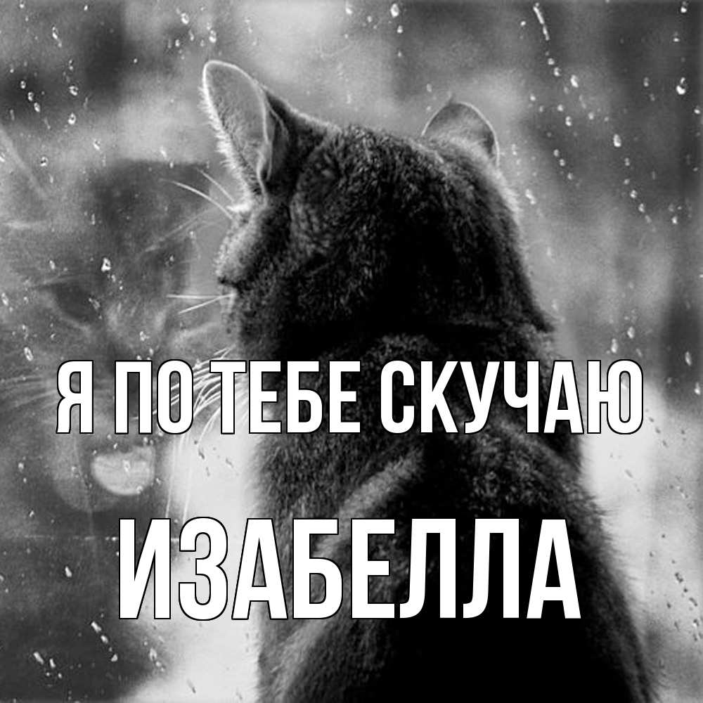 Открытка на каждый день с именем, Изабелла Я по тебе скучаю скорее ко мне приходи 1 Прикольная открытка с пожеланием онлайн скачать бесплатно 