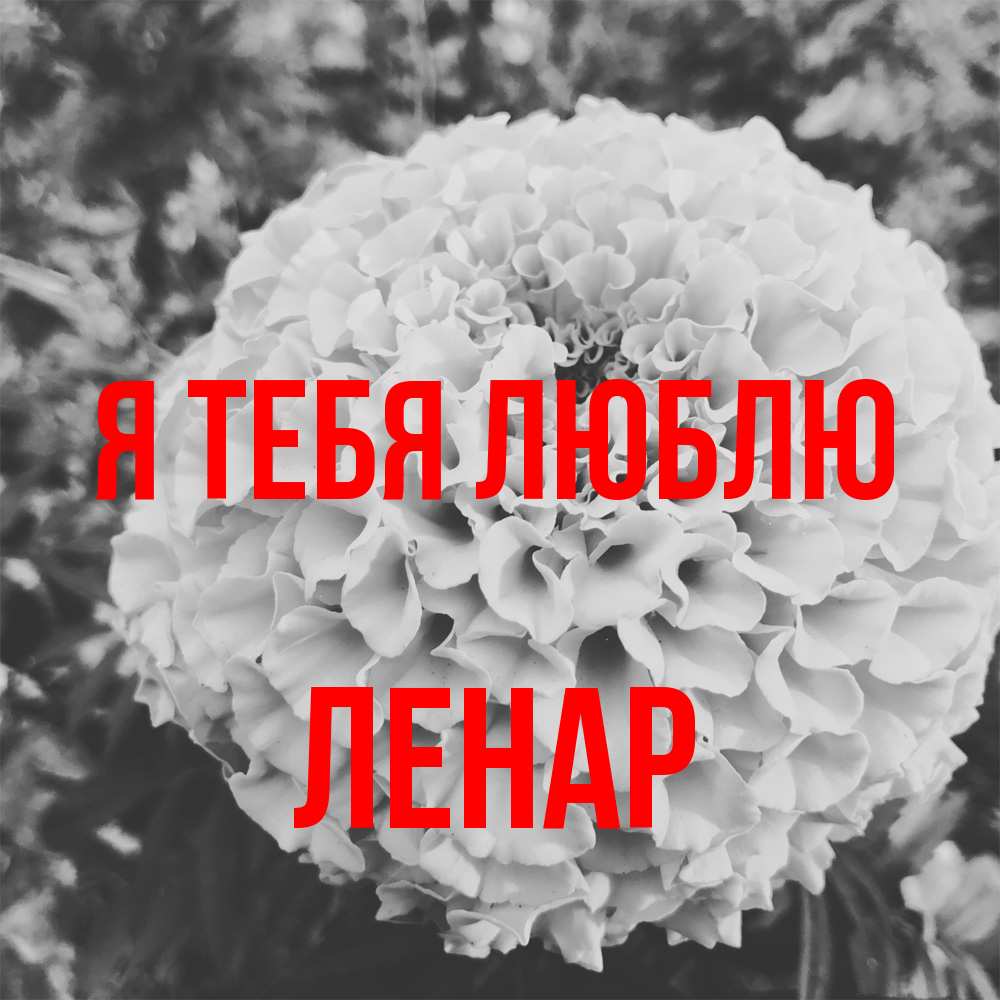 Открытка на каждый день с именем, Ленар Я тебя люблю подпись Прикольная открытка с пожеланием онлайн скачать бесплатно 