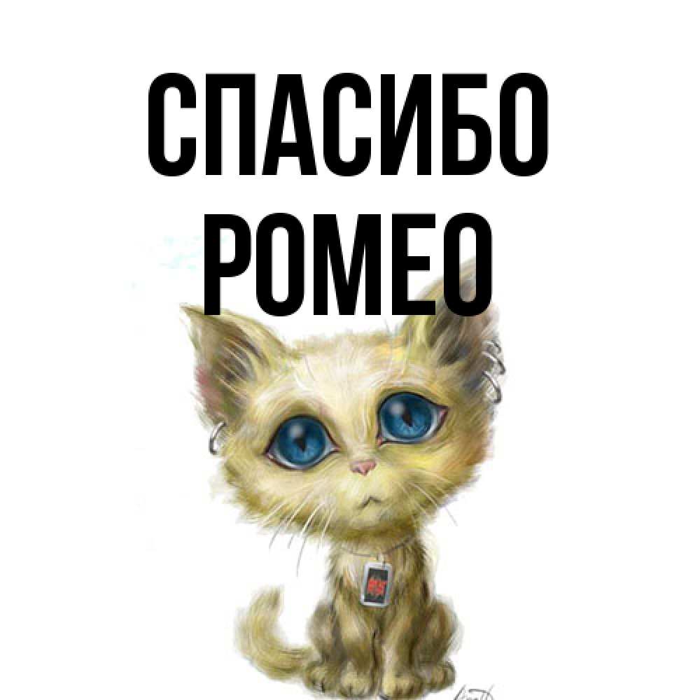 Открытка на каждый день с именем, Ромео Спасибо рисованный кот благодарит вас Прикольная открытка с пожеланием онлайн скачать бесплатно 