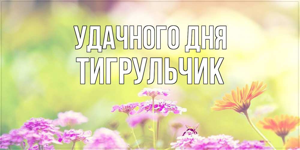 Открытка на каждый день с именем, Тигpульчик Удачного дня красивая открытка с летней темой Прикольная открытка с пожеланием онлайн скачать бесплатно 