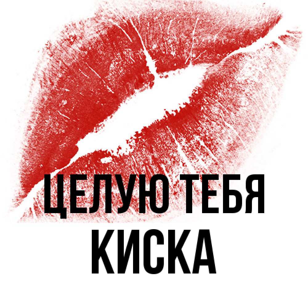 Открытка на каждый день с именем, Киска Целую тебя открытка с пожеланием поцелуя Прикольная открытка с пожеланием онлайн скачать бесплатно 