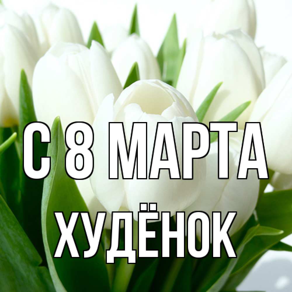 Открытка на каждый день с именем, худёнок C 8 МАРТА цветы Прикольная открытка с пожеланием онлайн скачать бесплатно 