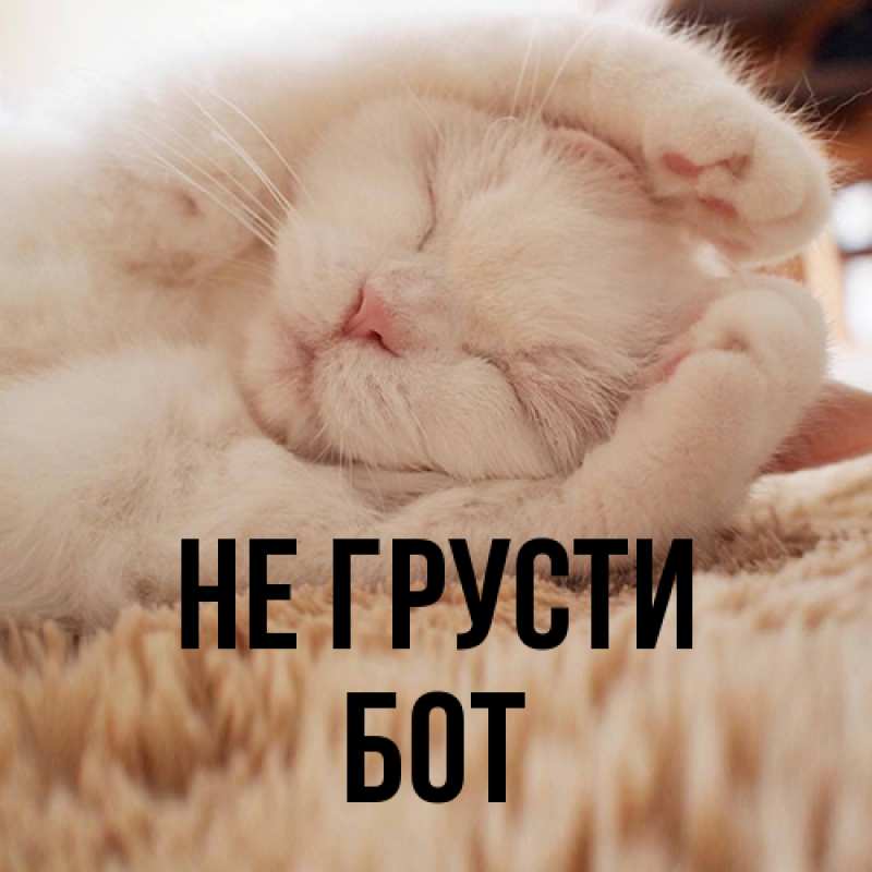 Картинка Не грусти, Бот