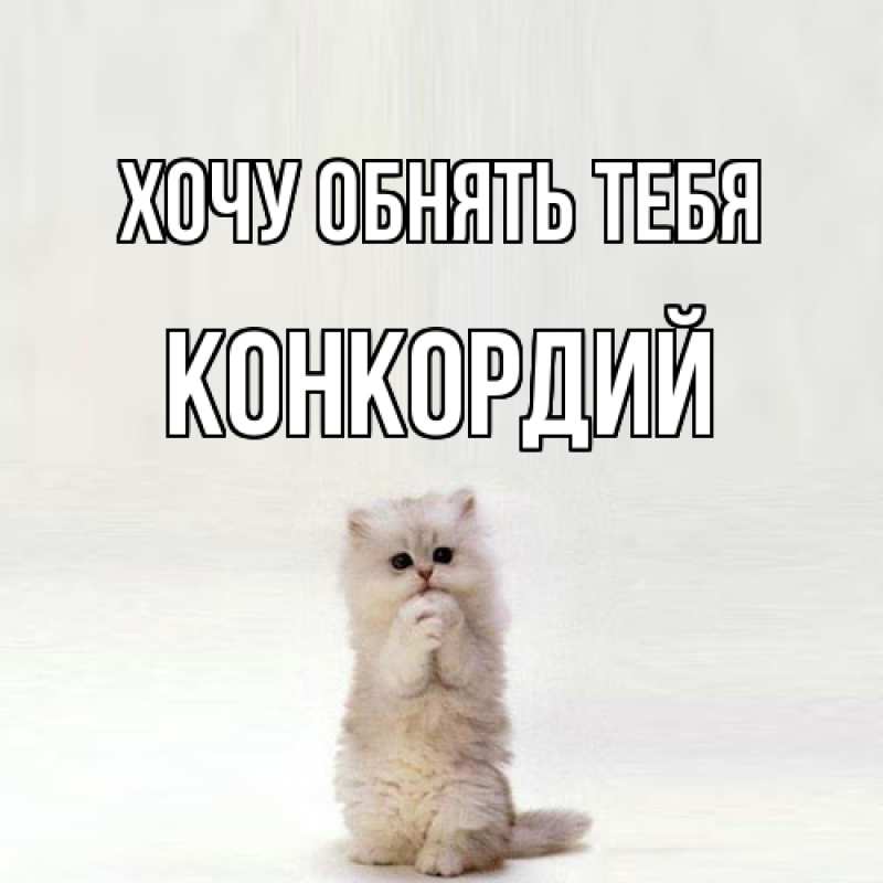 Картинка Хочу обнять тебя, Конкордий