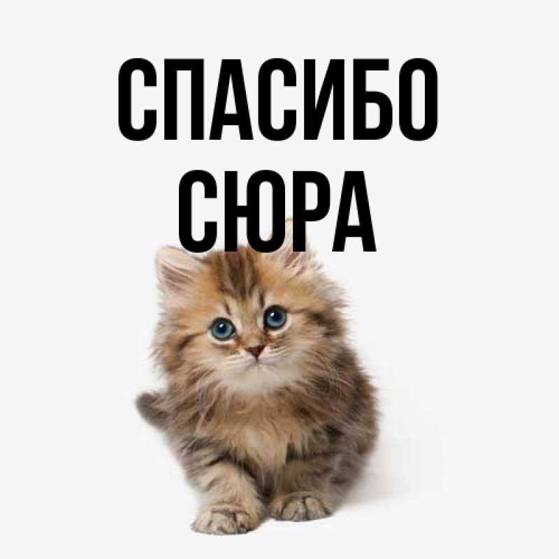 Картинка Спасибо, СЮРА