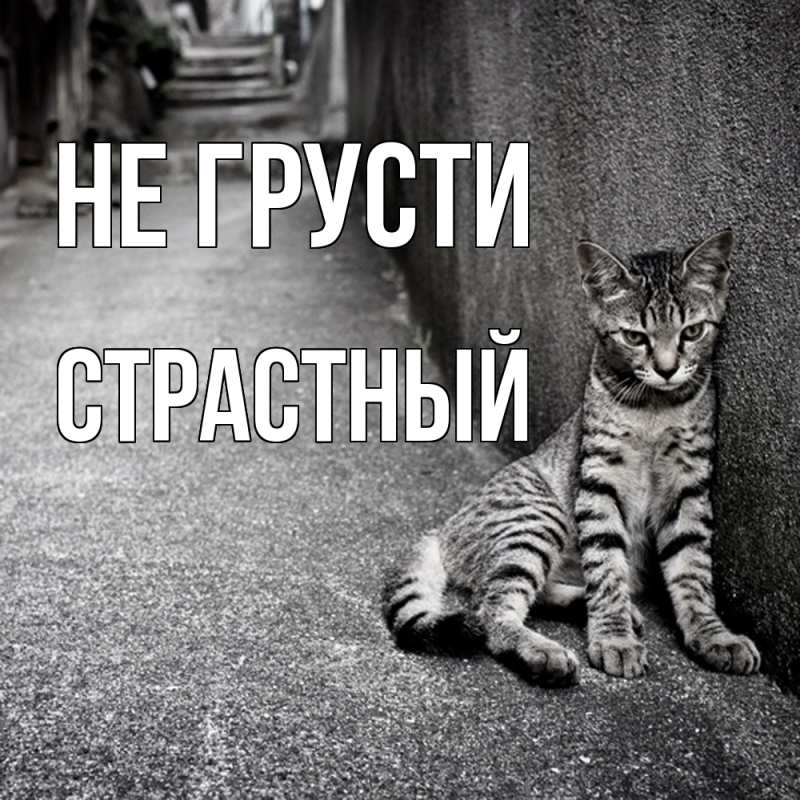 Картинка Не грусти, Страстный