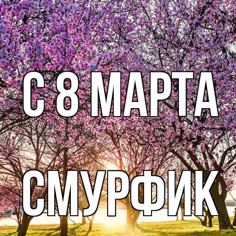 Открытка на каждый день с именем, Смурфик C 8 МАРТА международный женский день Прикольная открытка с пожеланием онлайн скачать бесплатно 