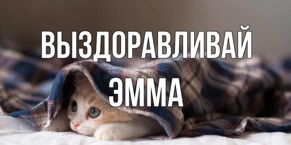 Открытка на каждый день с именем, Эмма Выздоравливай не болейте с котиком Прикольная открытка с пожеланием онлайн скачать бесплатно 