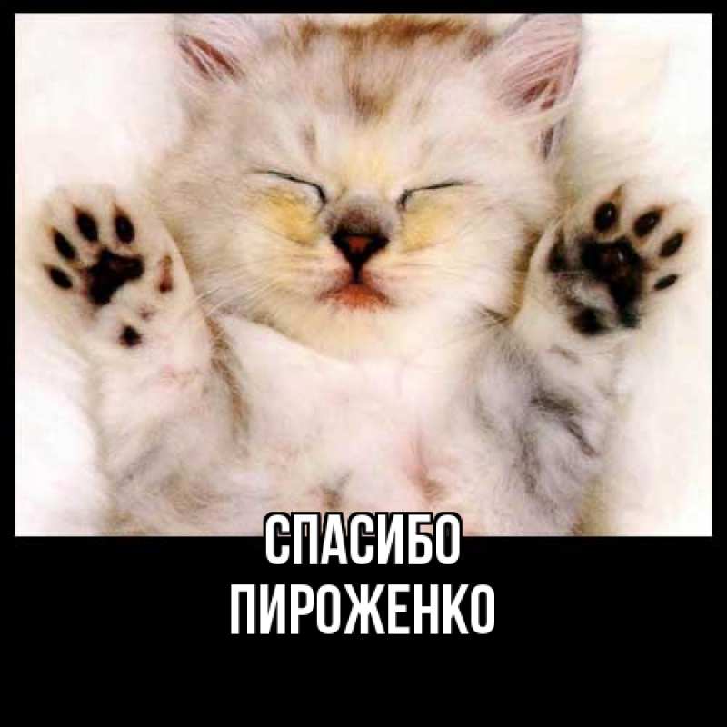Картинка Спасибо, Пироженко