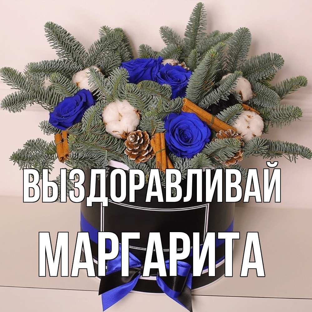 Открытка на каждый день с именем, Маргарита Выздоравливай короче кто то загрузил эти шишки Прикольная открытка с пожеланием онлайн скачать бесплатно 