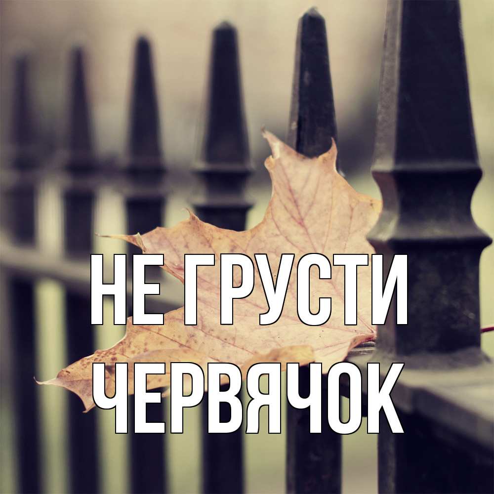 Открытка на каждый день с именем, Червячок Не грусти лист клена Прикольная открытка с пожеланием онлайн скачать бесплатно 